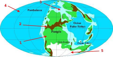 Mapemonde Permien