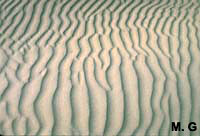 Ripples marks actuels