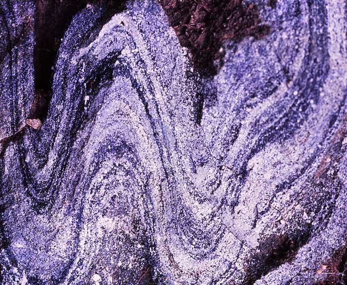 Amphibolites des Maures