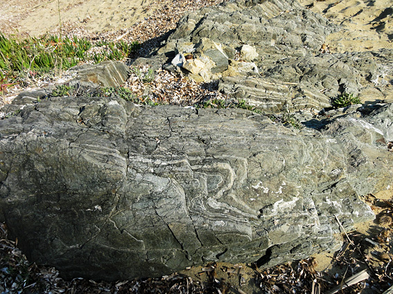 Amphibolite Plage d'Héraclée