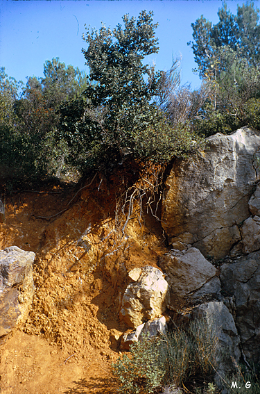 Argile de décalcification