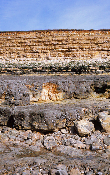 Erosion marine