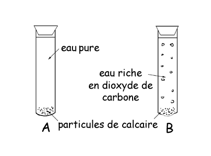 dissolution du calcaire