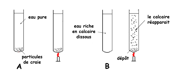 Précipitation des calcaires