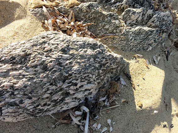 Gabbro Plage d'Héraclée
