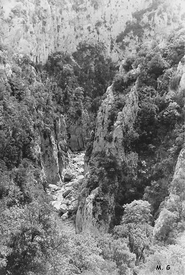 Gorges