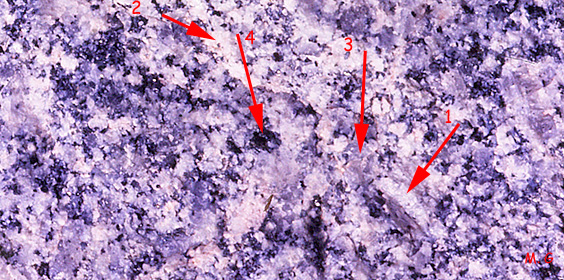 Granite de Plan-de-la-Tour