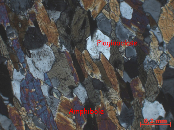 Lame mince d'amphibolite LPA