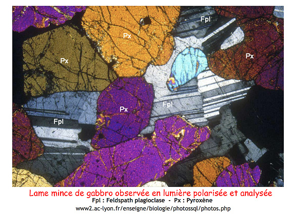Lame mince de gabbro en LPA