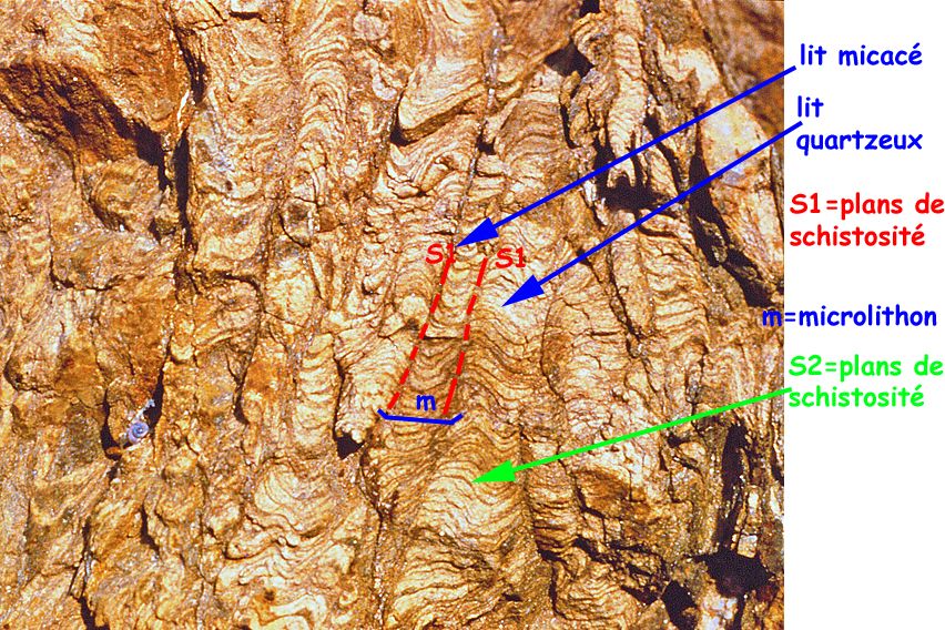 microlithon dans les phyllades de Giens