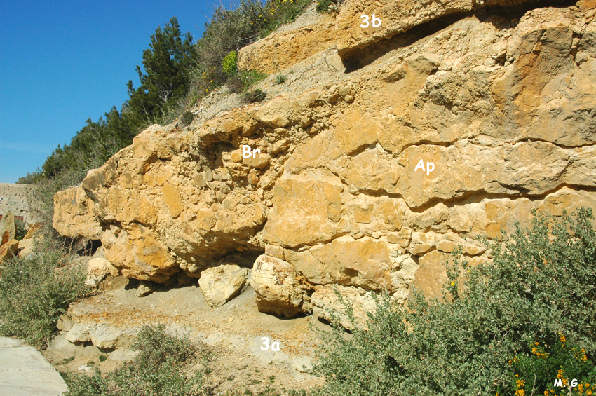 Olistolite