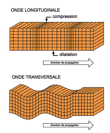 données sismiques et géophysiques