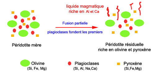 Fusion partielle des péridotites