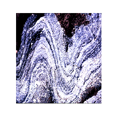 pli anisopaque2